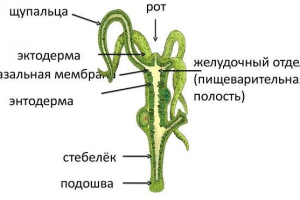 Кракен рабочая ссылка тор