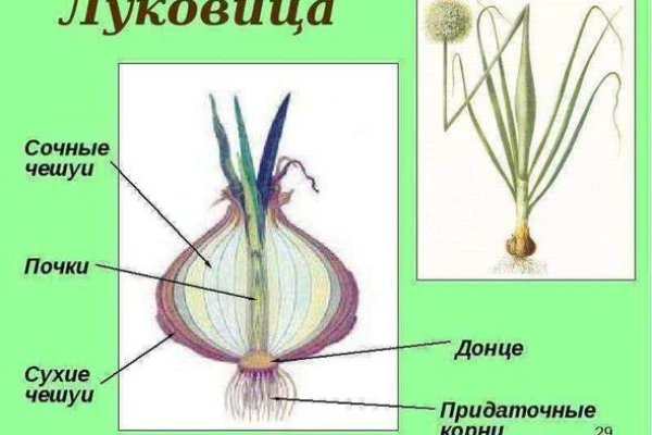 Как зарегистрироваться на сайте кракен