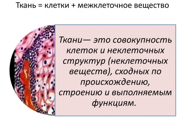 Сайты продаж наркотиков
